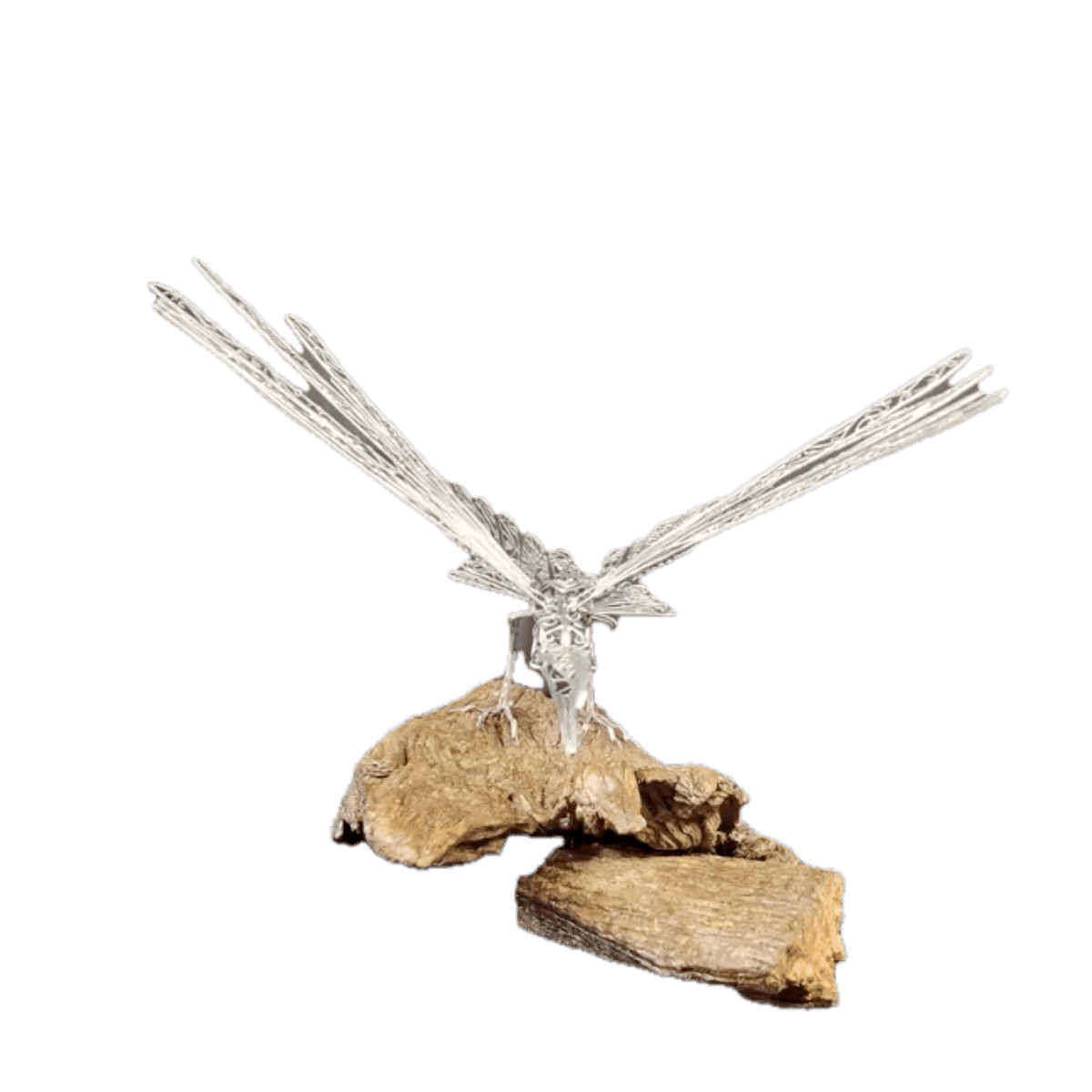 A Gateway Between Worlds