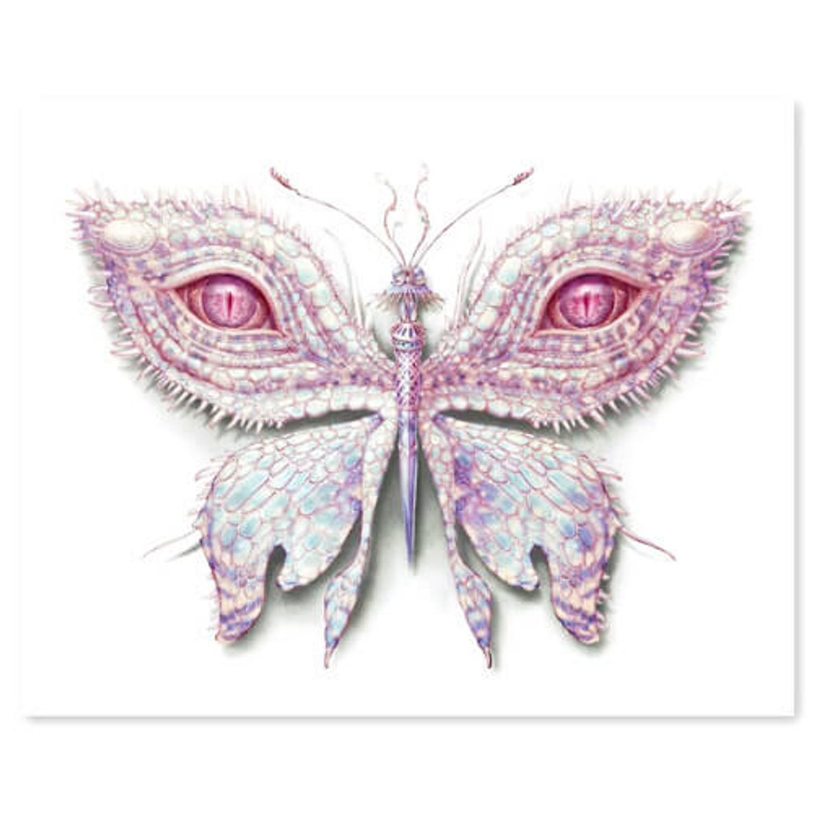 Albino Mutation Reptile