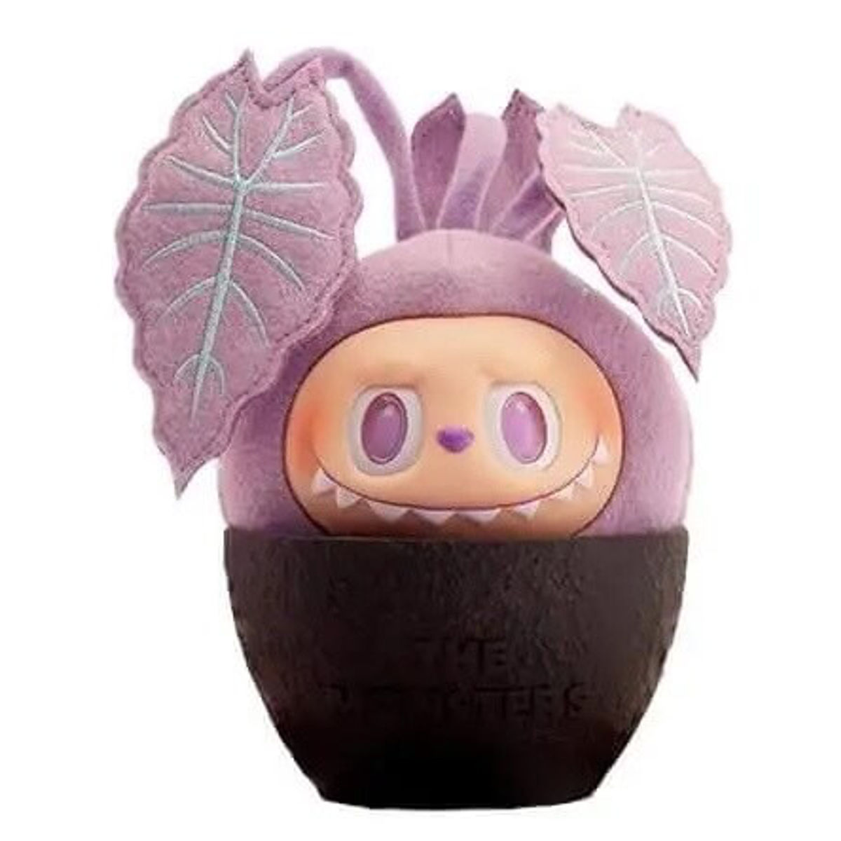 Alocasia Polly Labubu