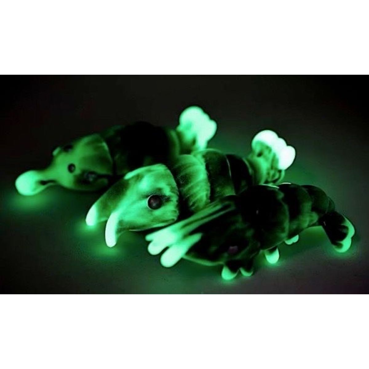 Anomalocaris Black Marble GID