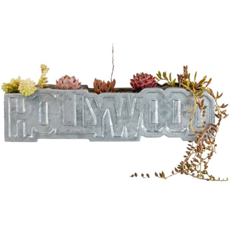 Another Hollywood Transplant by Halopigg