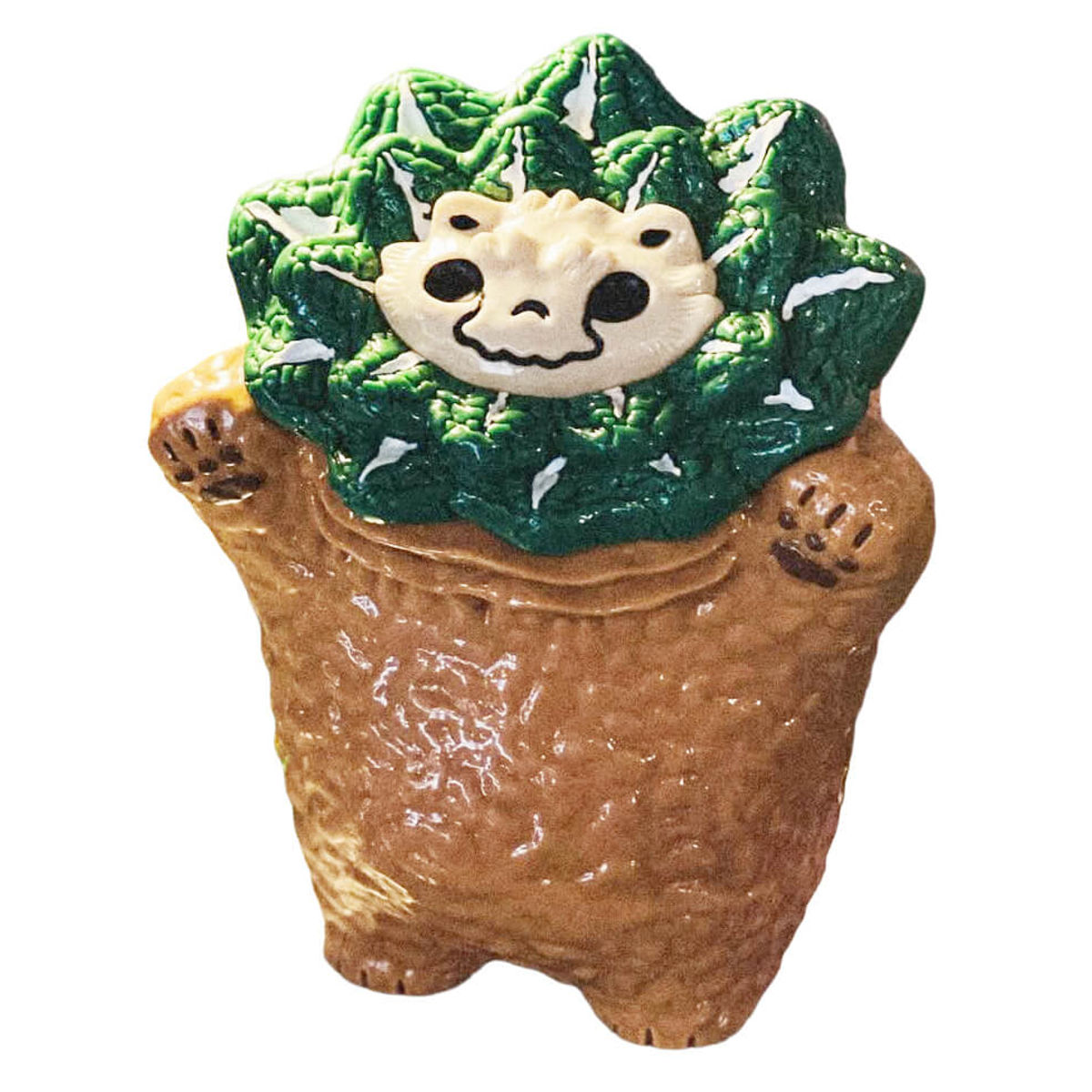 Ariocarpus Fissuratus Monster