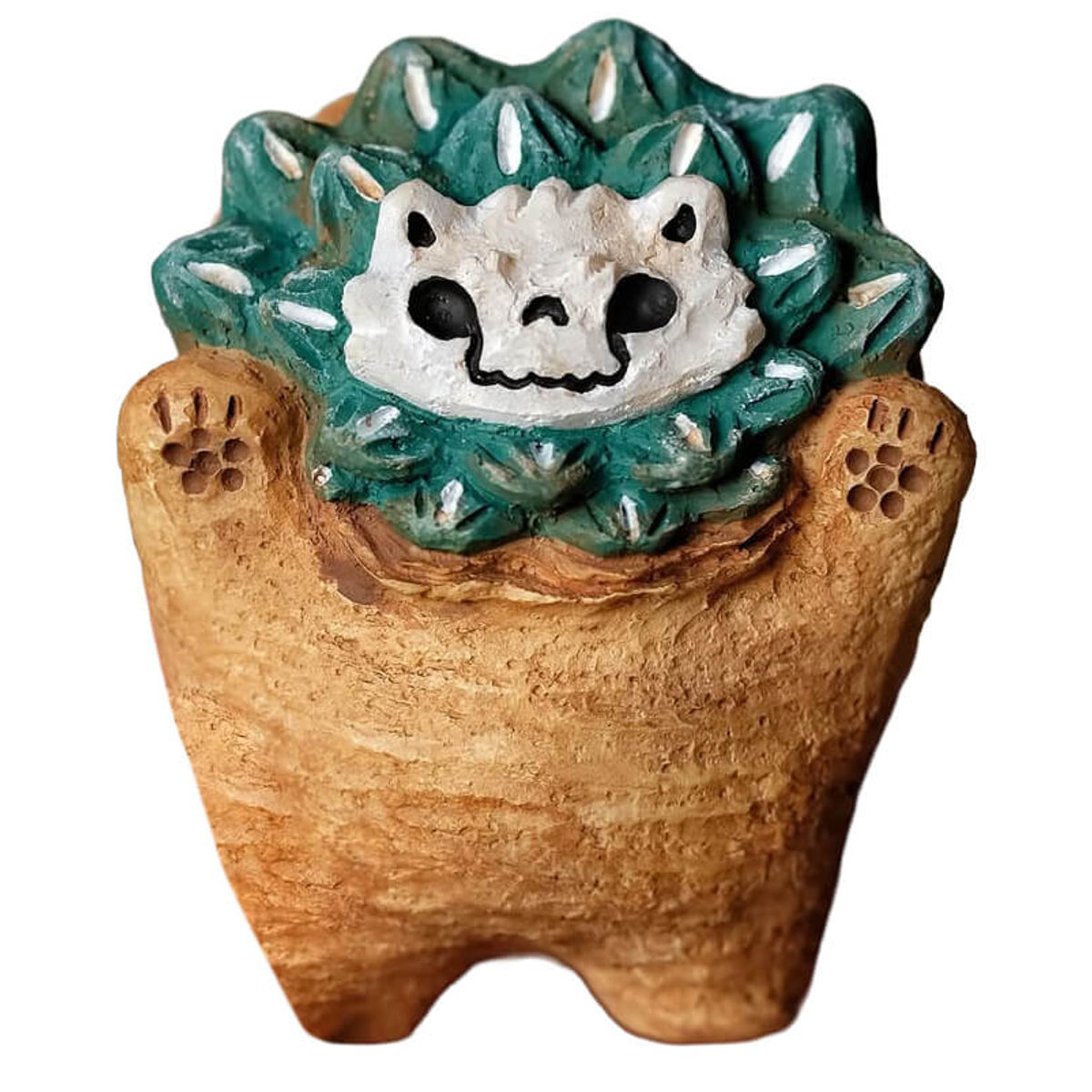 Ariocarpus Fissuratus Monster Mini