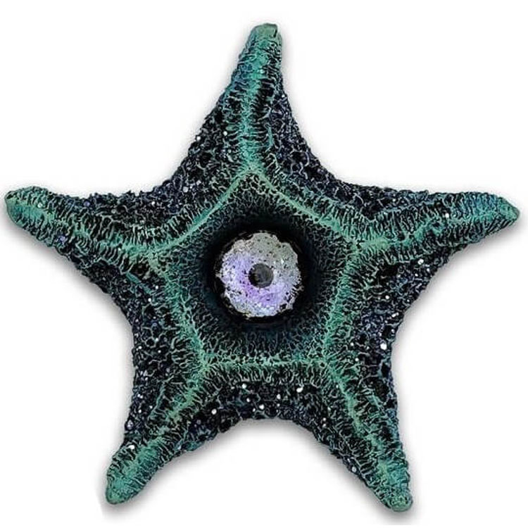 Azure Starboy by N.C. Winters