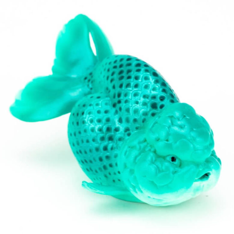 B – Teal Ranchu by Ebb N Flow Design
