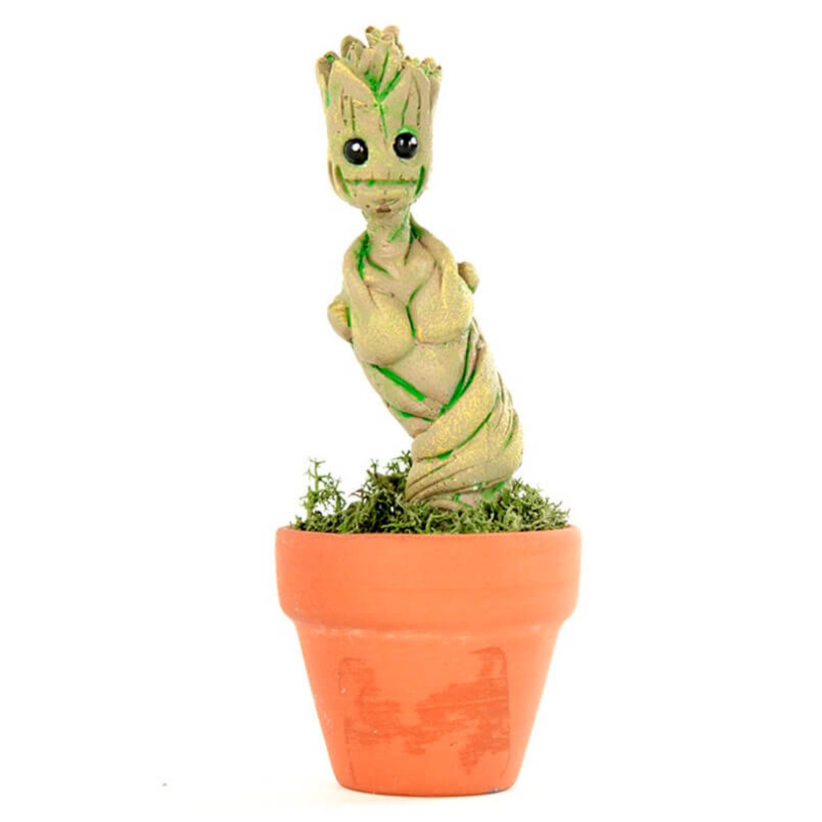 Baby Groot Sapling