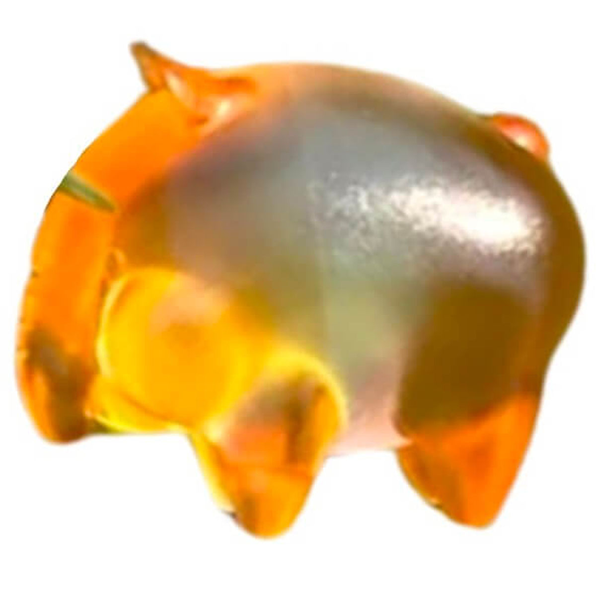 Baku - Transparent Orange