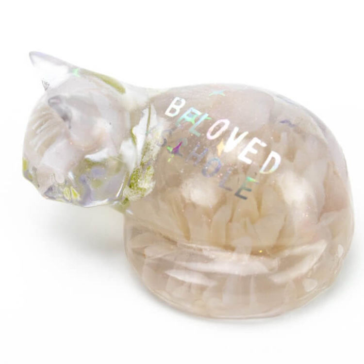 Beloved Asshole by Seed Arts