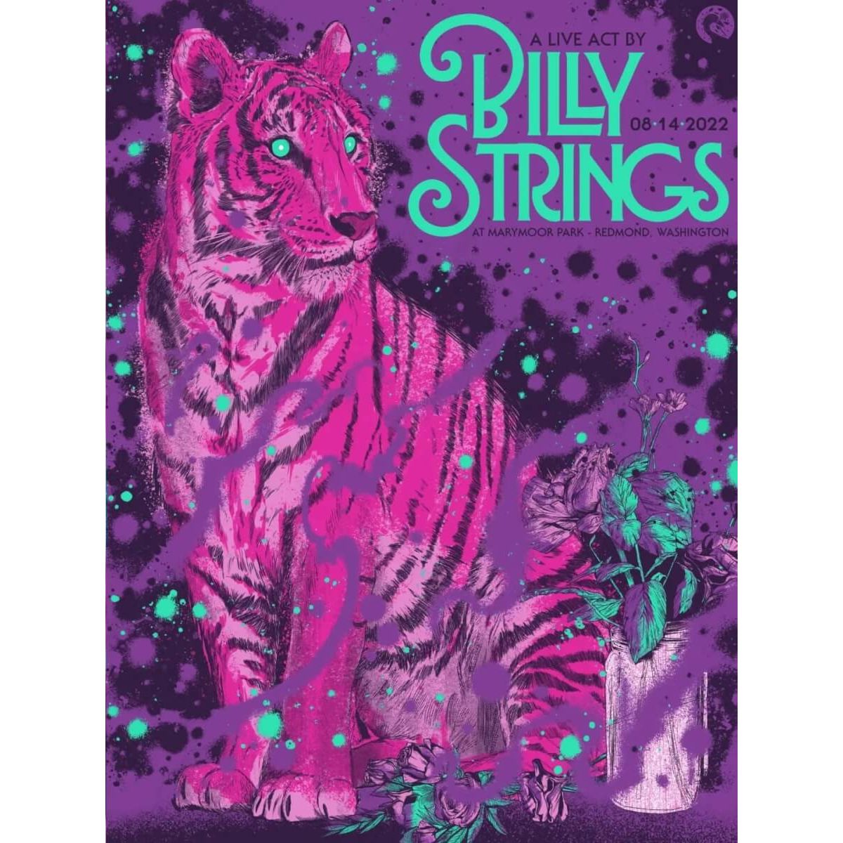 Billy Strings - Washington 2022