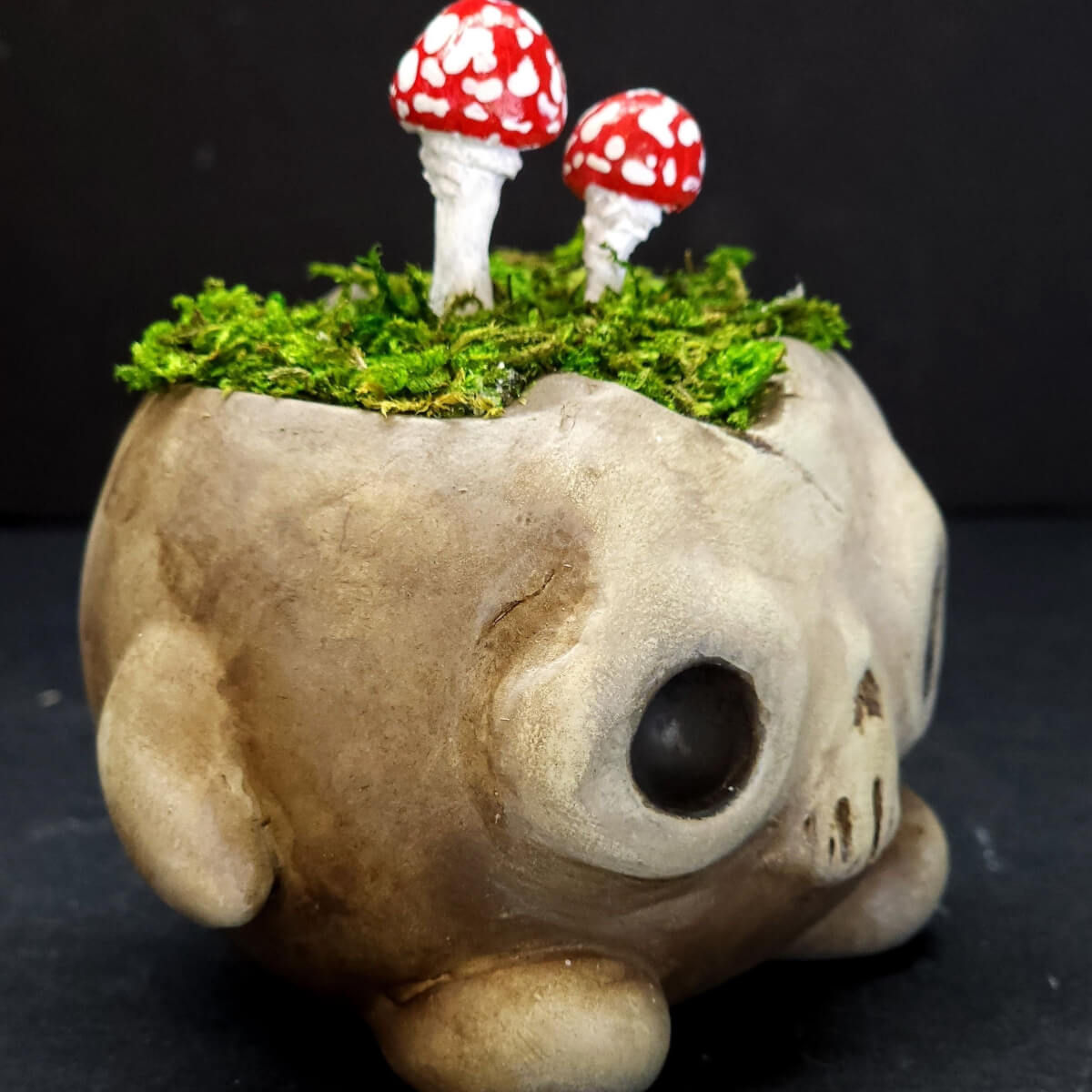 Bites from the crypt - Mushroom