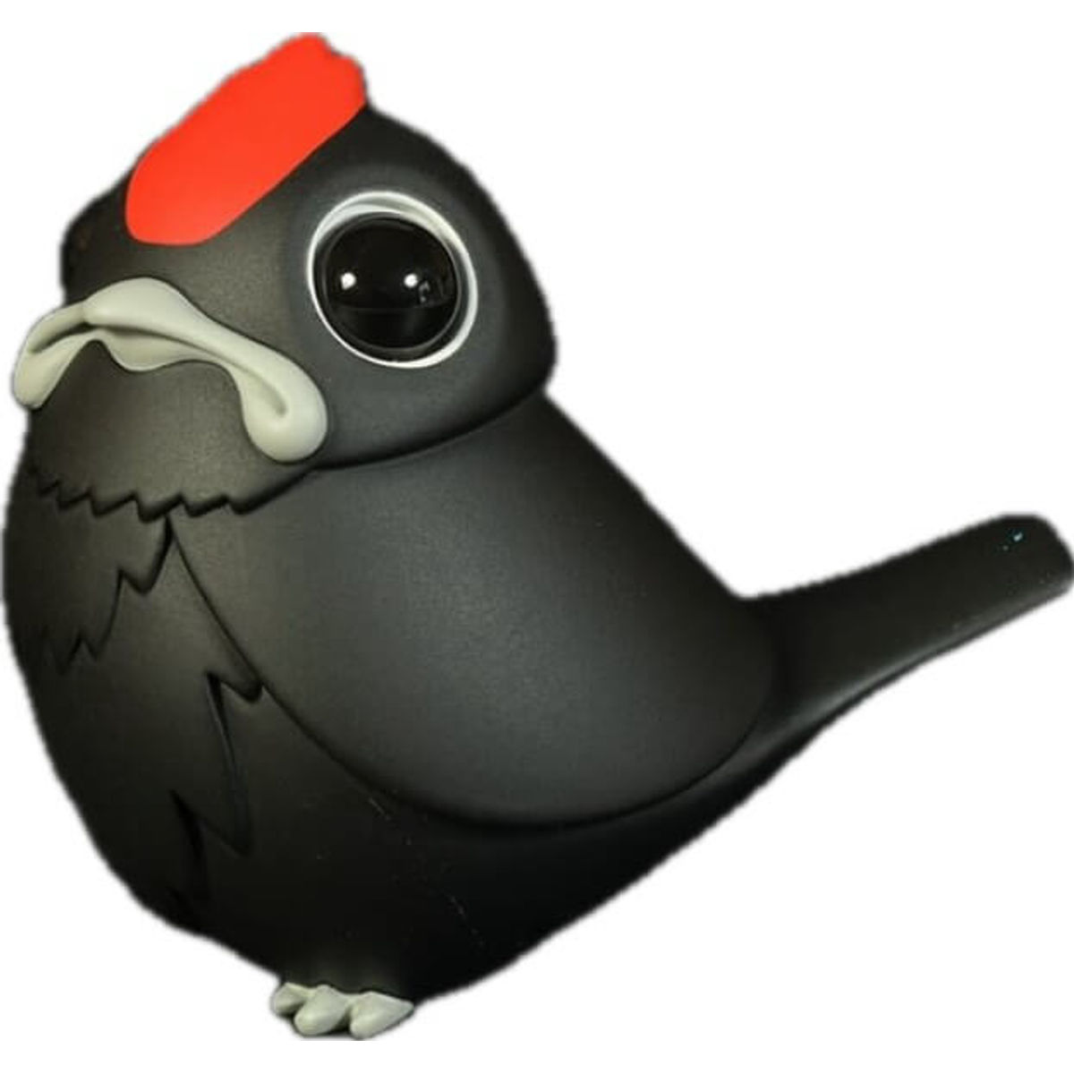 Black Woodpecker Jay