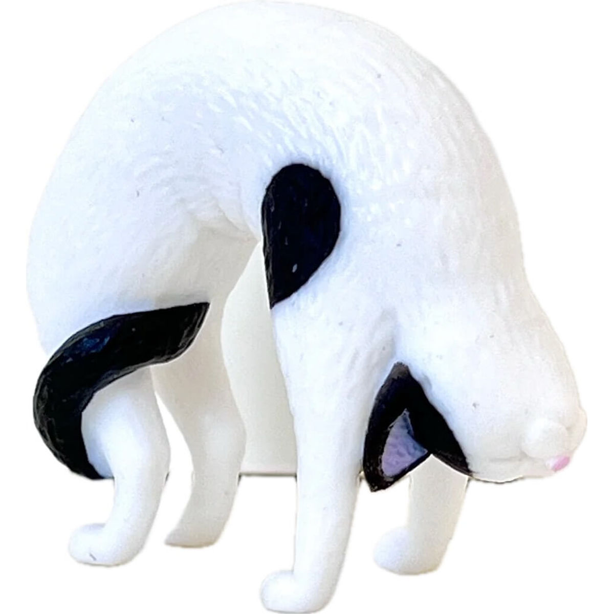 Black & White Yoga Cat