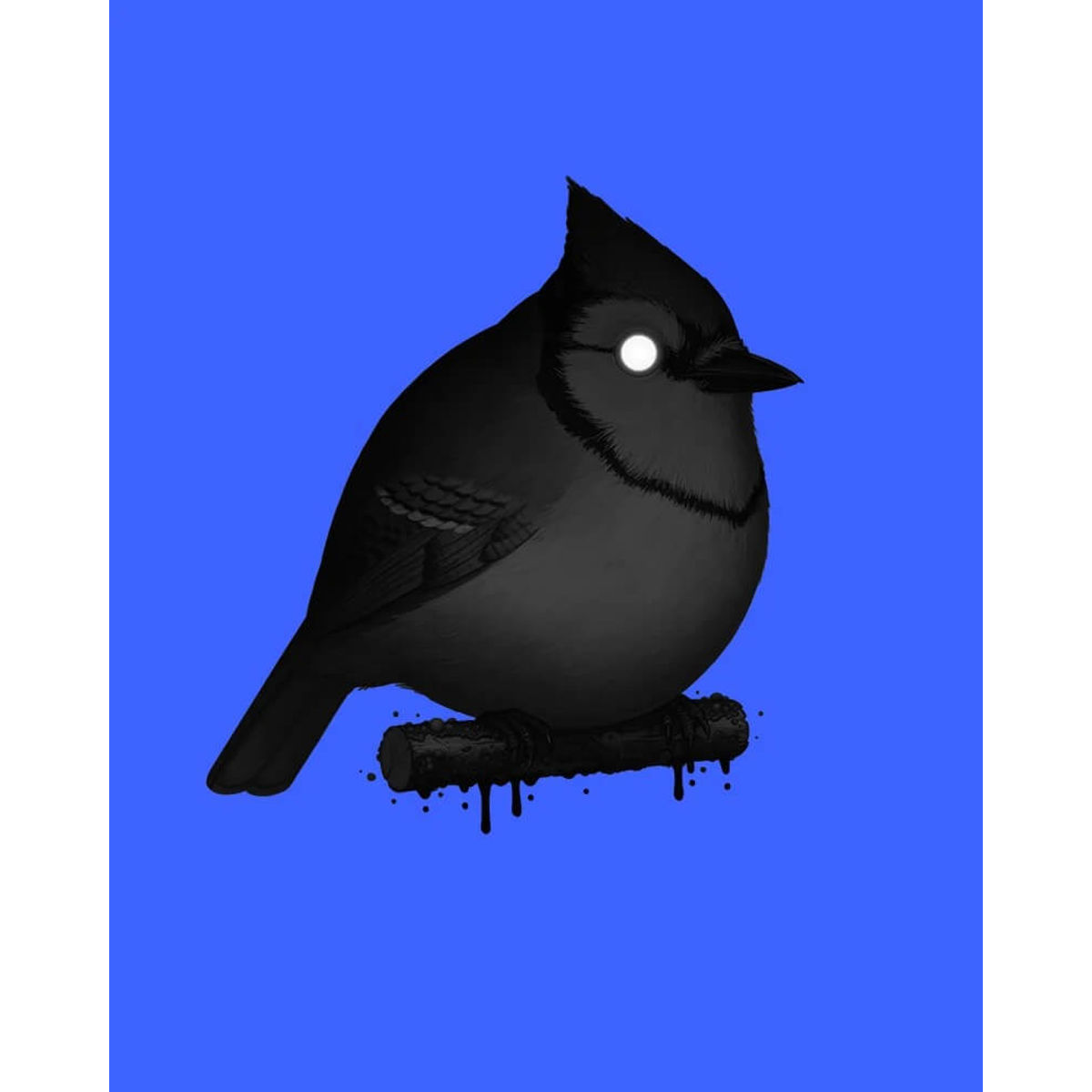 Blue Jay II (Void)