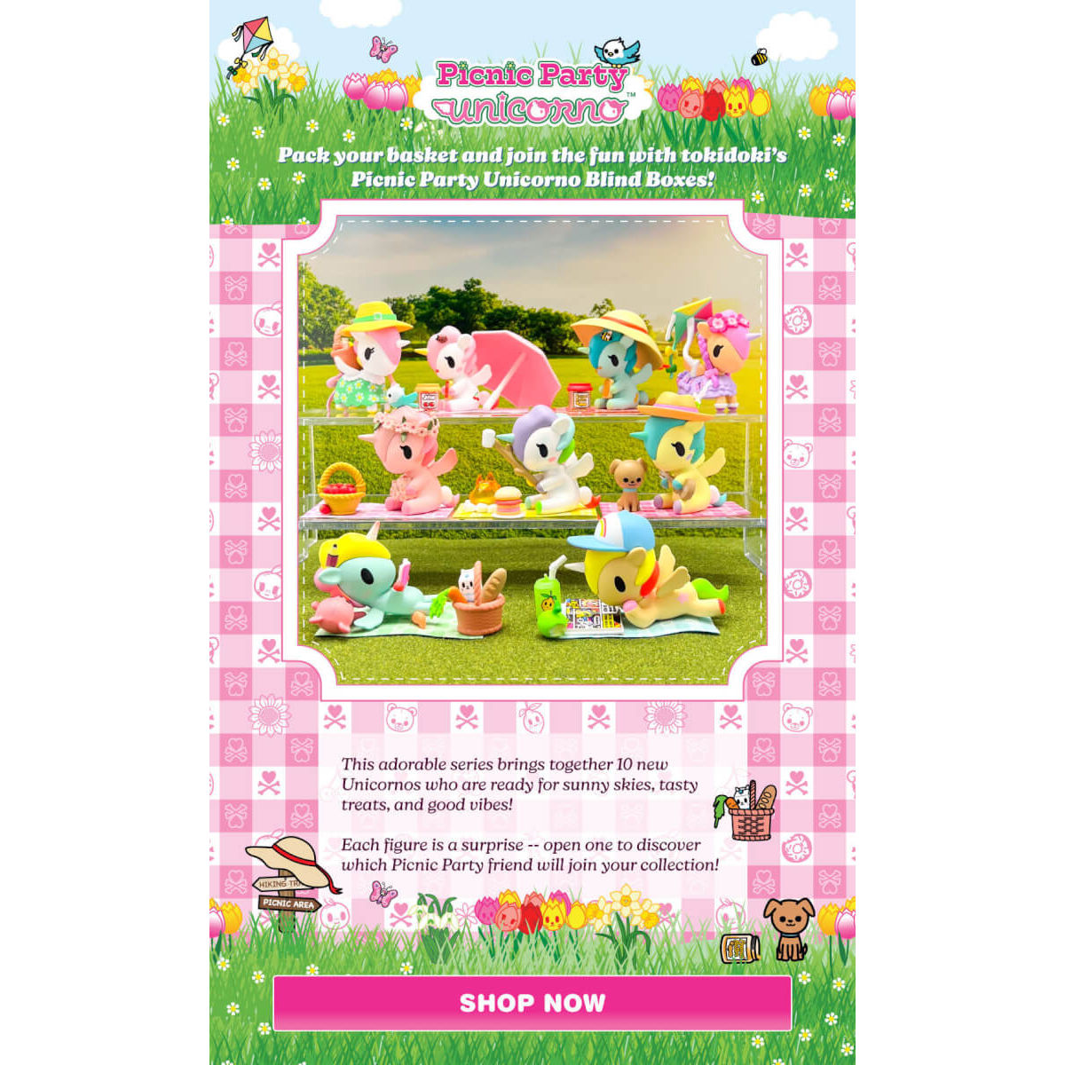 Book Worm Picnic Party Unicorno