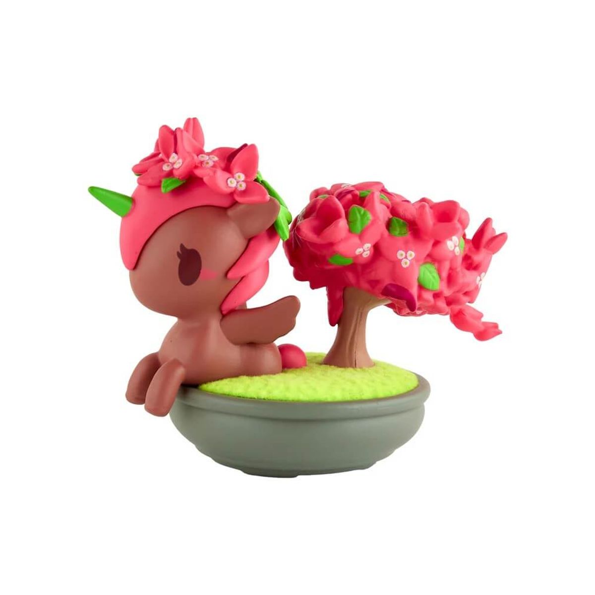 Bougainvillea Bonsai