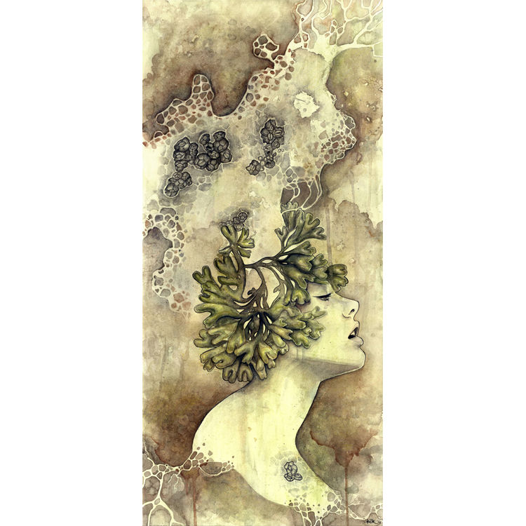 Bounty by Kelly McKernan