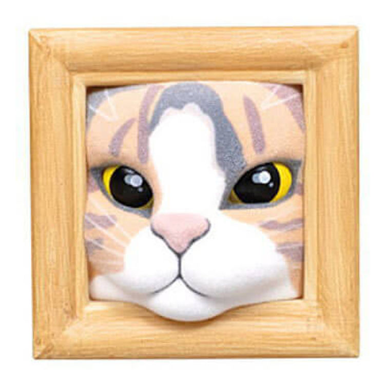 Calico Cat by Qualia