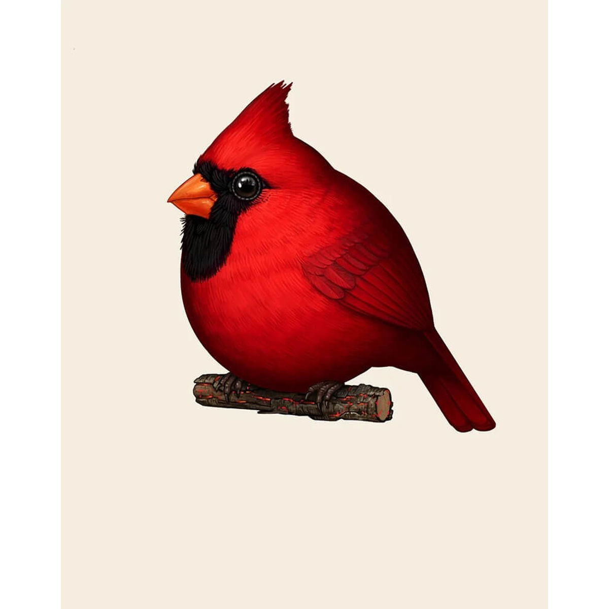 Cardinal II