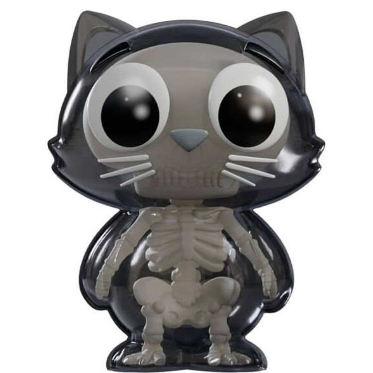 Human Skeleton by Ben Butcher