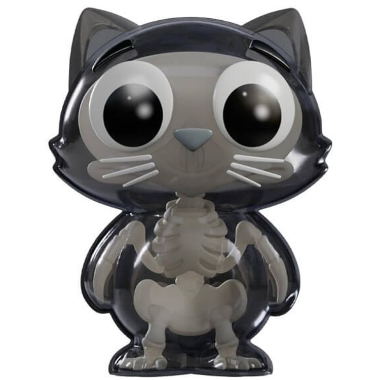 Bird Bones by Ben Butcher