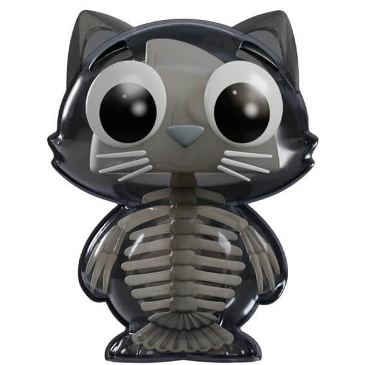 Fish Frame by Ben Butcher