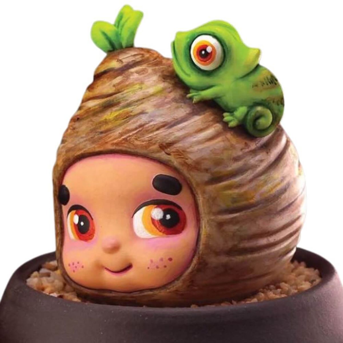 Caudex Plants Pang Q