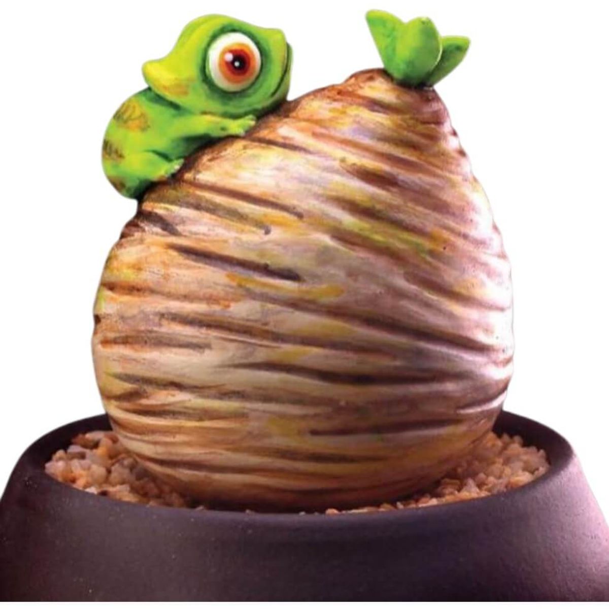 Caudex Plants Pang Q