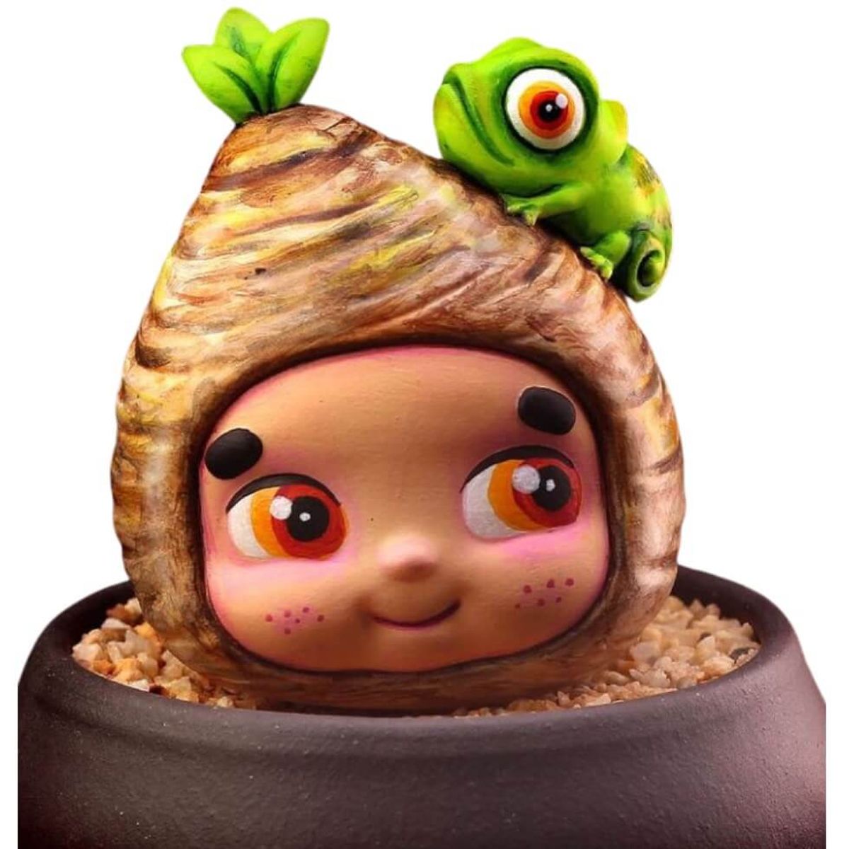 Caudex Plants Pang Q