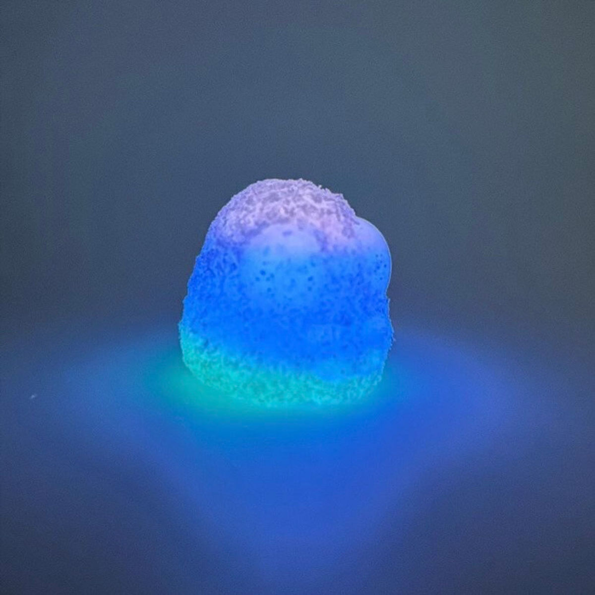 Cherry Apple Berry Sugar Coated Doompdrop