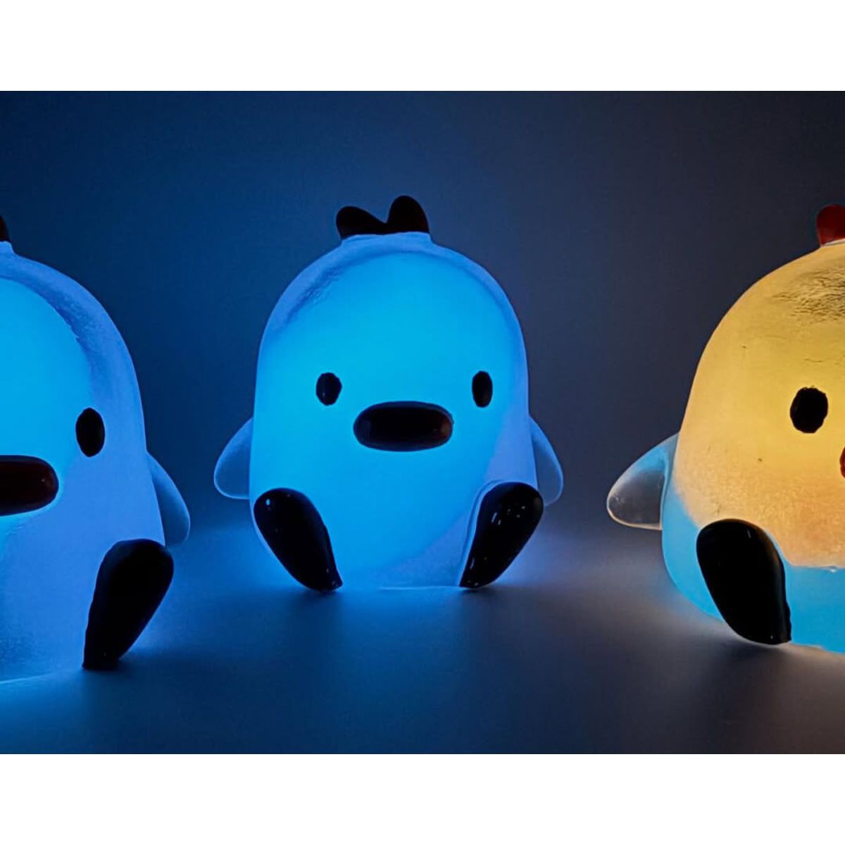 Chubby Duck Rock Love