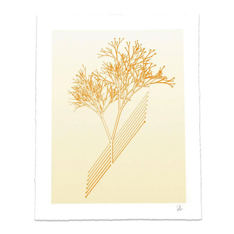 Circuit Tree (Orange) by Story Spark