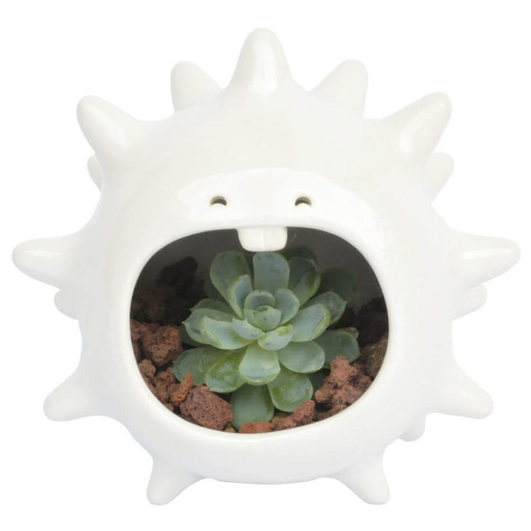Comelón Hedgehog Eater White by TUIO