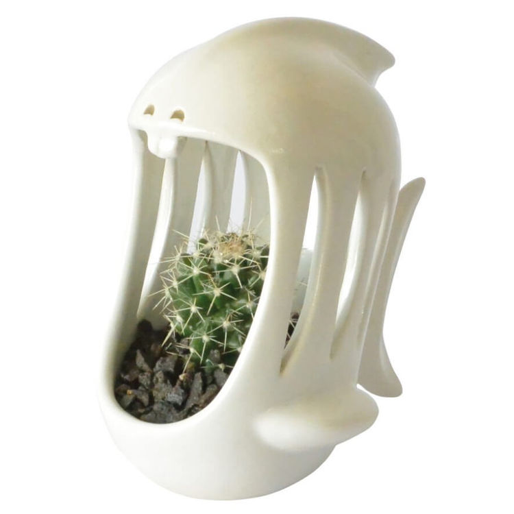 Comelón Mini Eater Shark White by TUIO
