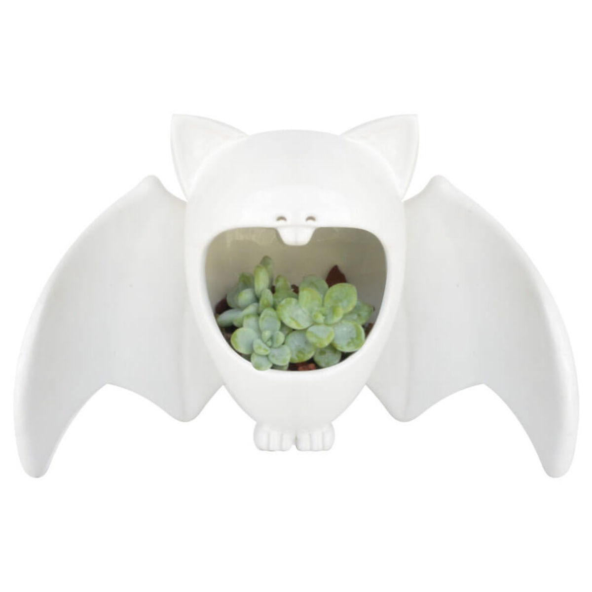 Comelón Vampi White