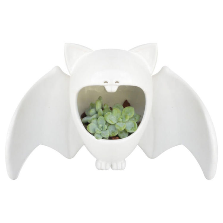 Comelón Vampi White by TUIO