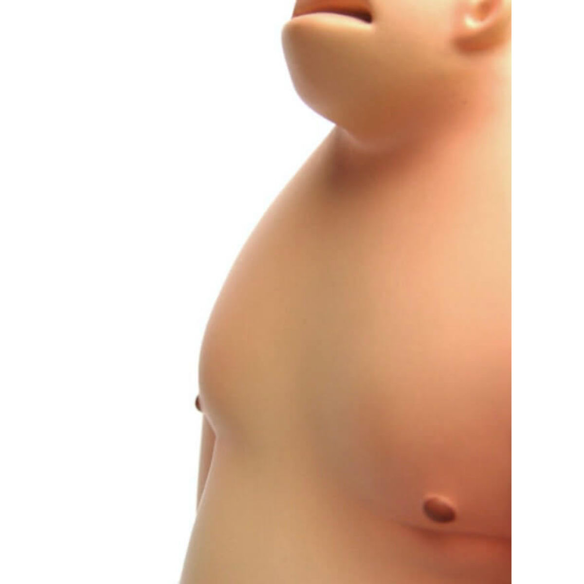 Coot Green Dryer ver.