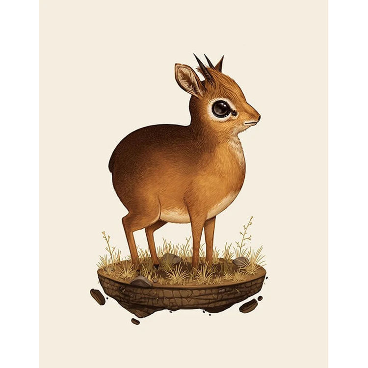 Dik-dik by Mike Mitchell