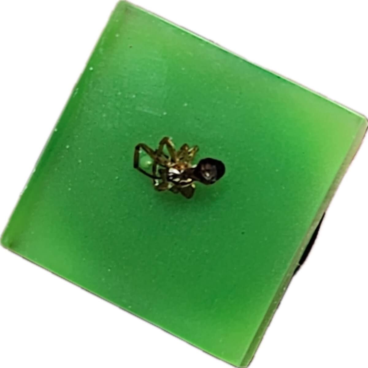 Don't Tread On Me - Resin Eye Patch