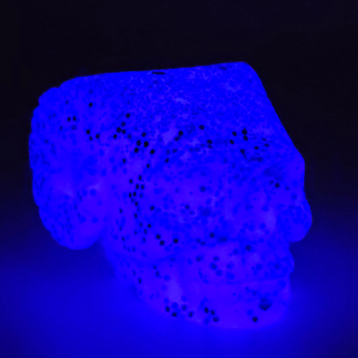 Dual Chameleon - Horned Skull