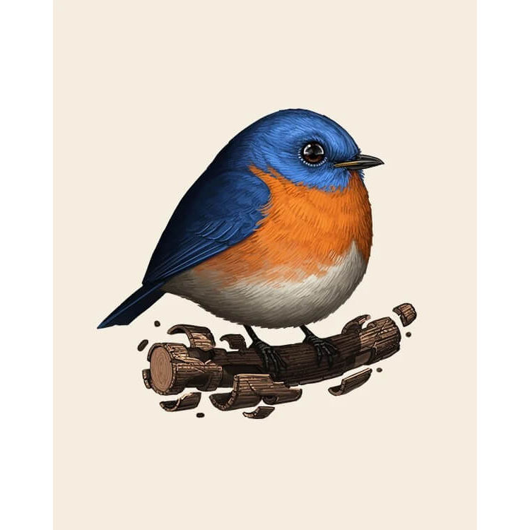 Eastern Bluebird by Mike Mitchell