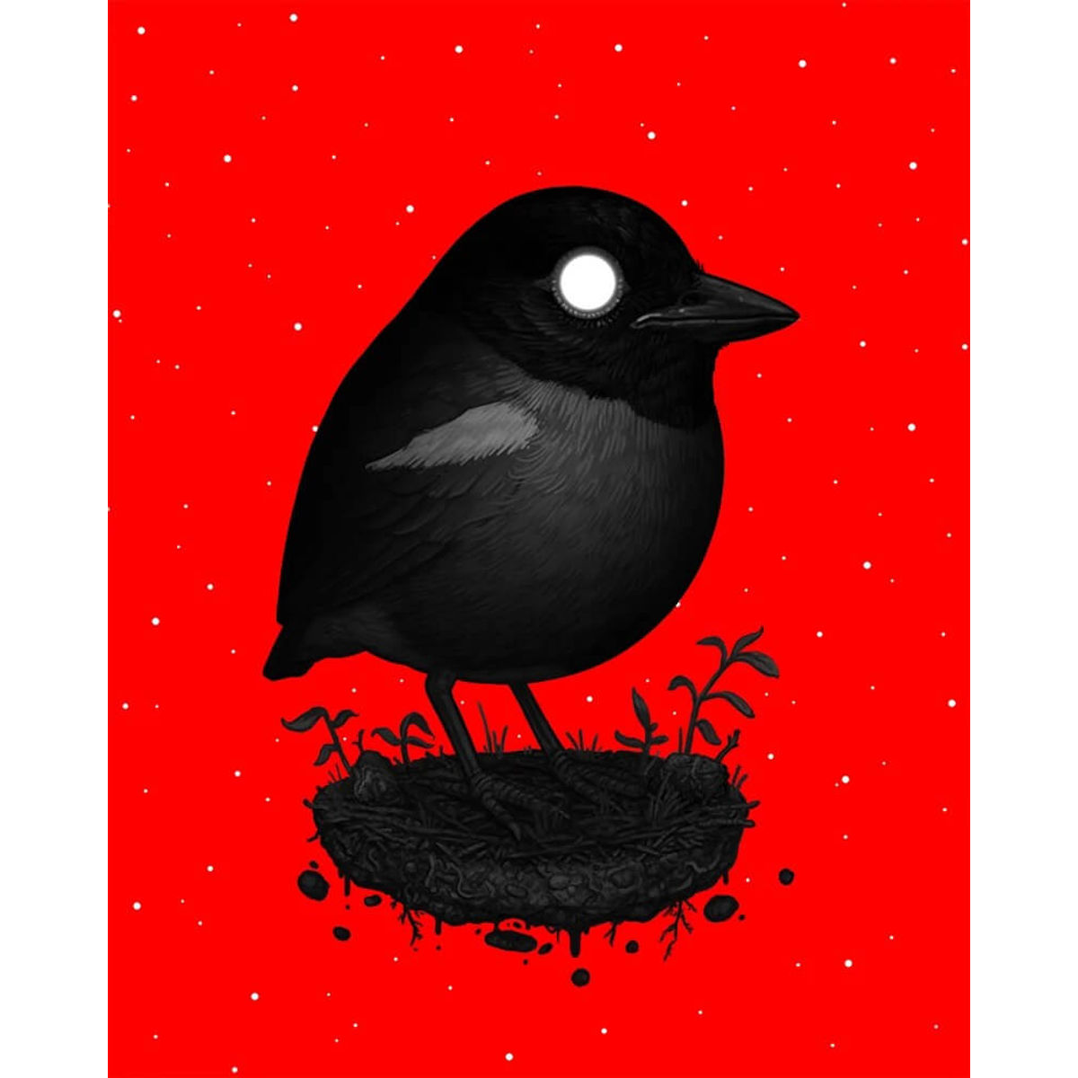 Eastern Hooded Pitta (Void Variant)