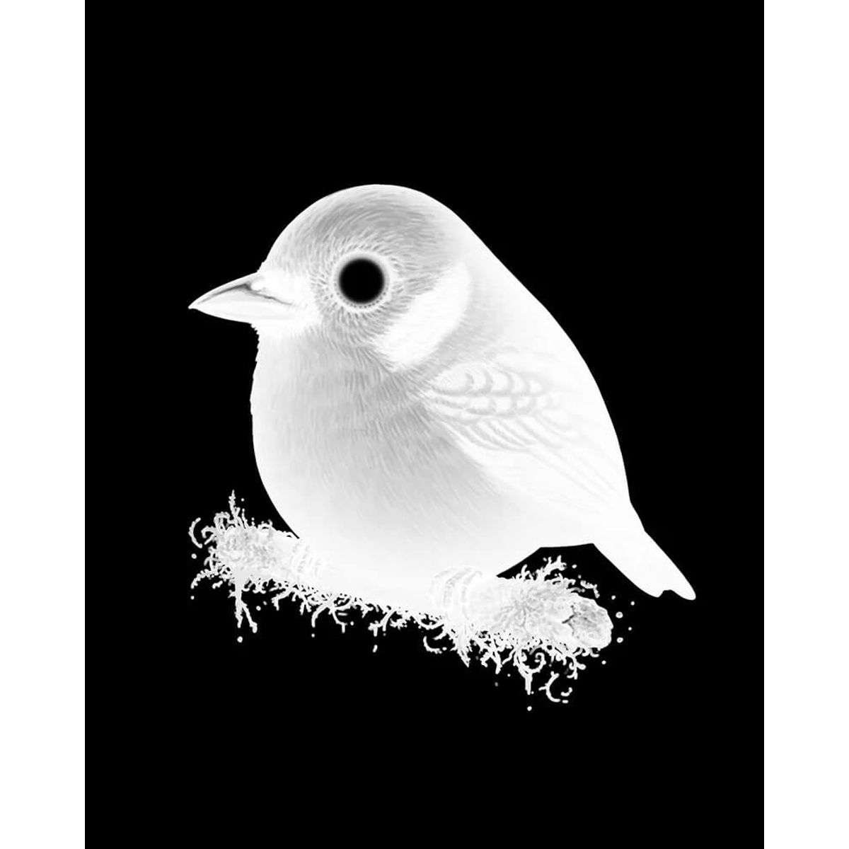 Emerald Tangler (Negative Variant)