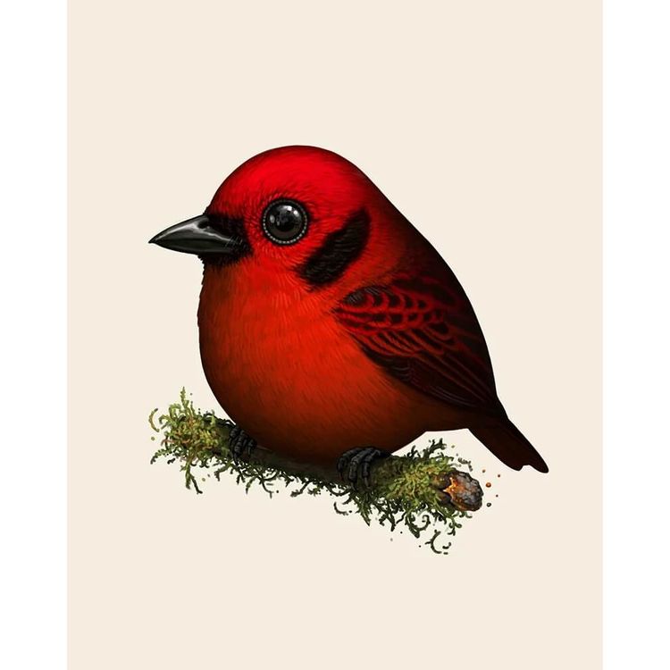Emerald Tangler (Ruby Variant) by Mike Mitchell