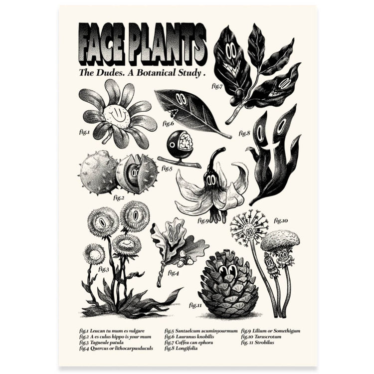 Faceplant by McBess (Matthieu Bessudo)