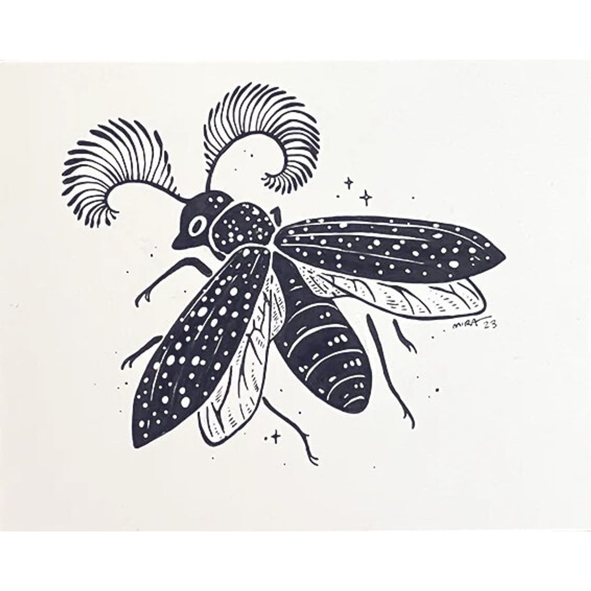 Feather Hornet Beetle