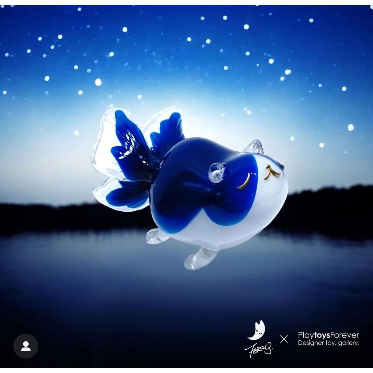 Fishcat - Tisha Starry Night