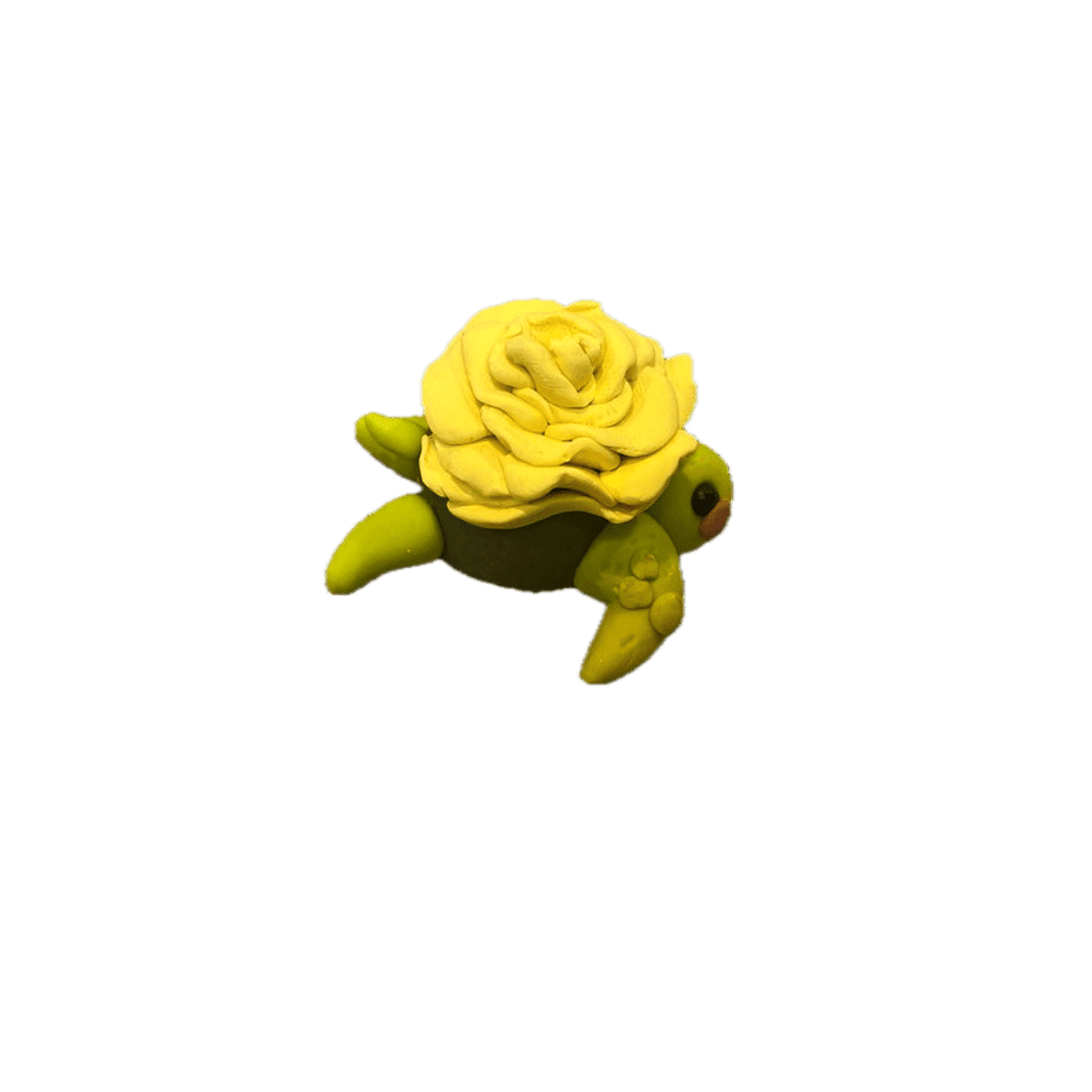 Floral Shy Turtle