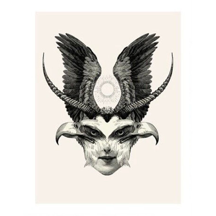 For a.e.. by Dan Hillier
