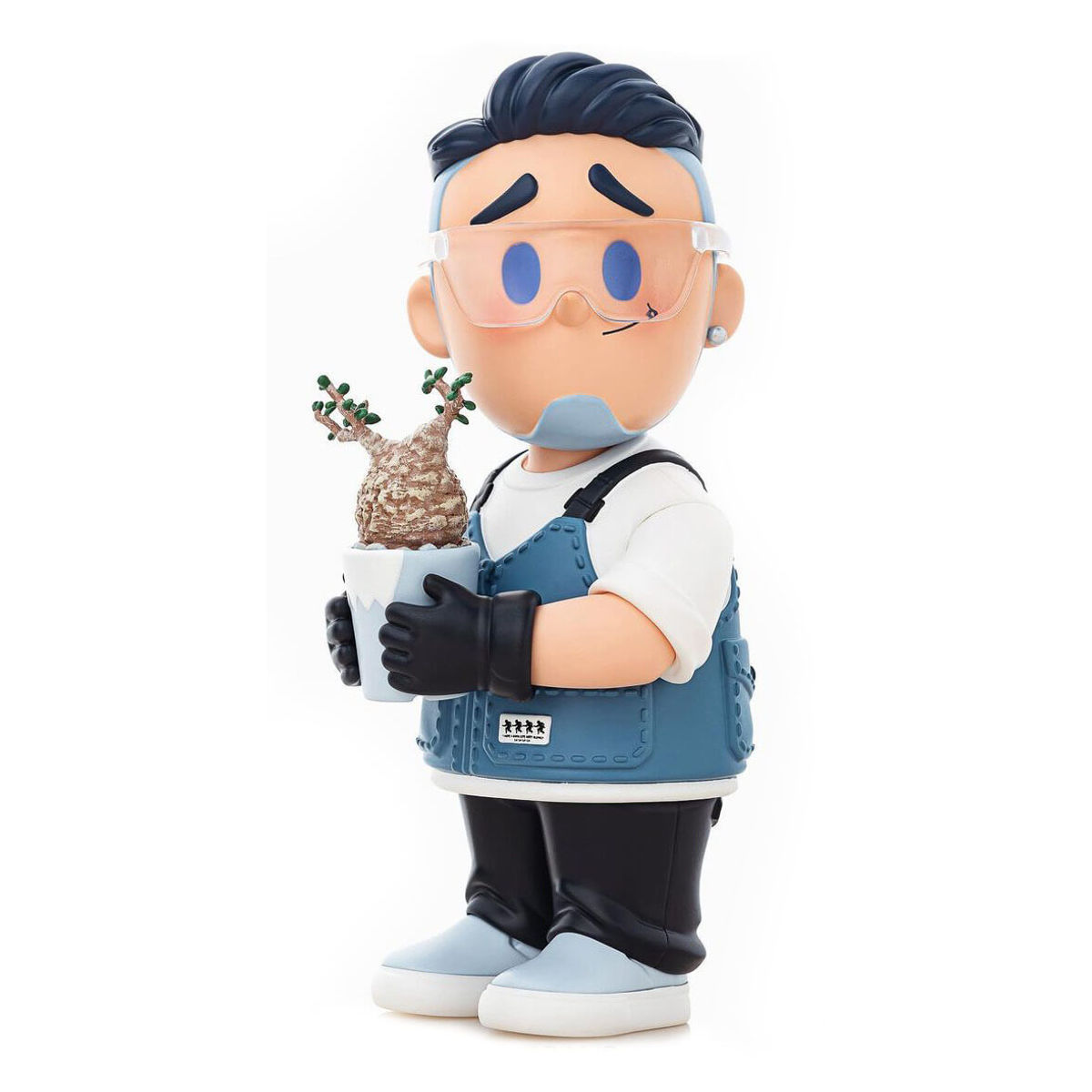 Forerunner Operculicarya Pachypus