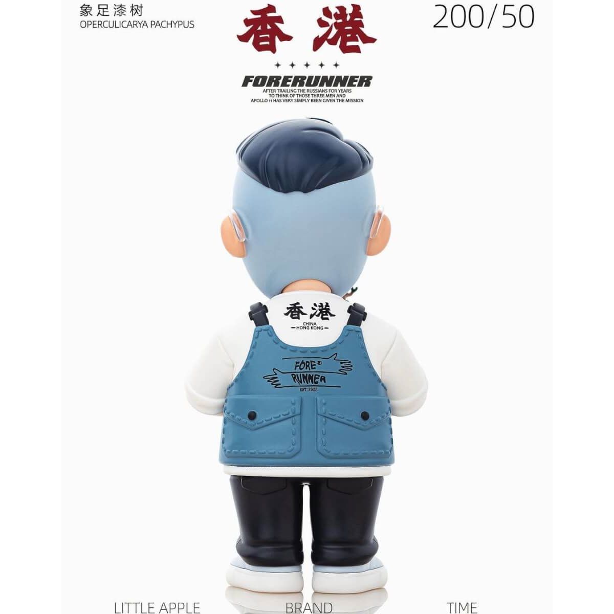 Forerunner Operculicarya Pachypus